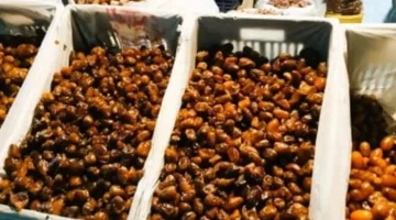 تحديث الأسعار اليوم الأحد 1-2-2026 في أسواق البلح بمطروح